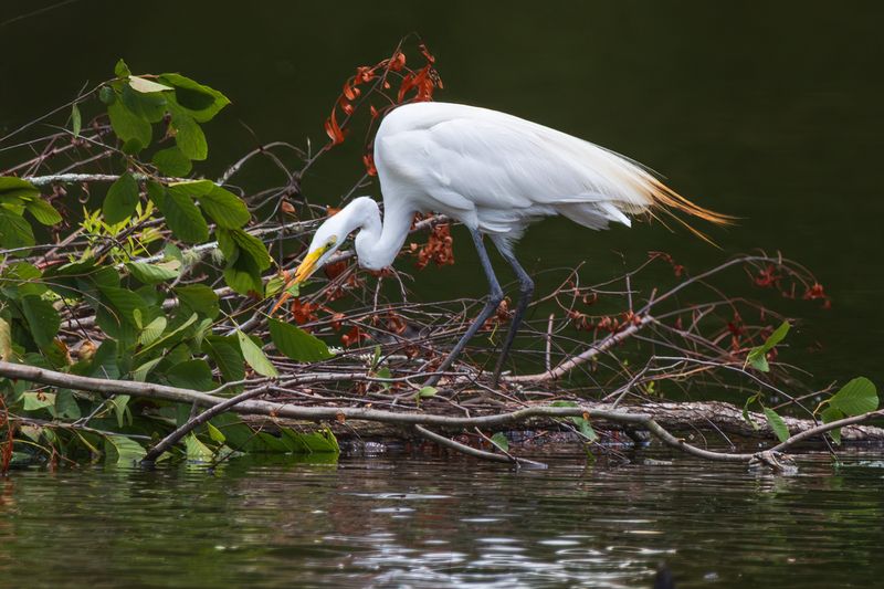 Трудовые будни фото превью