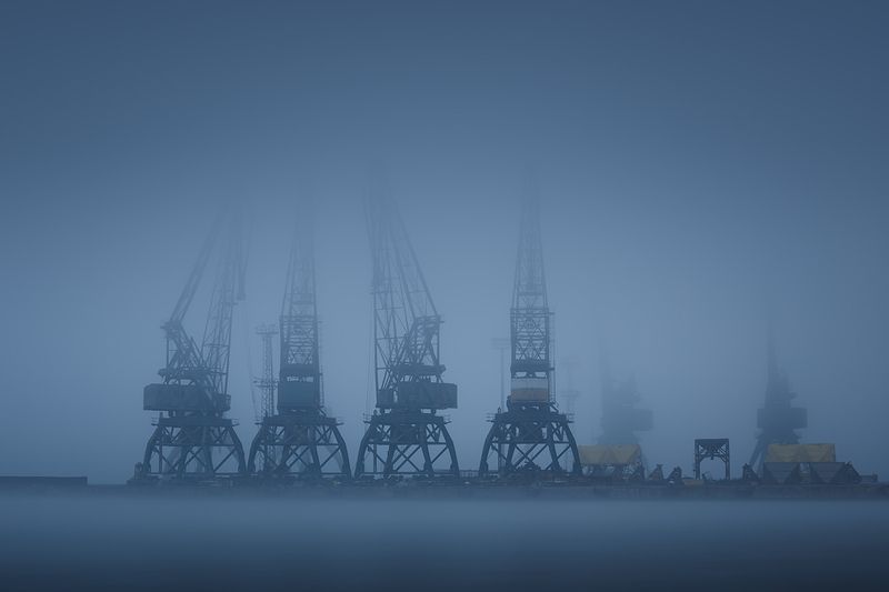 2024-11-08 фото превью