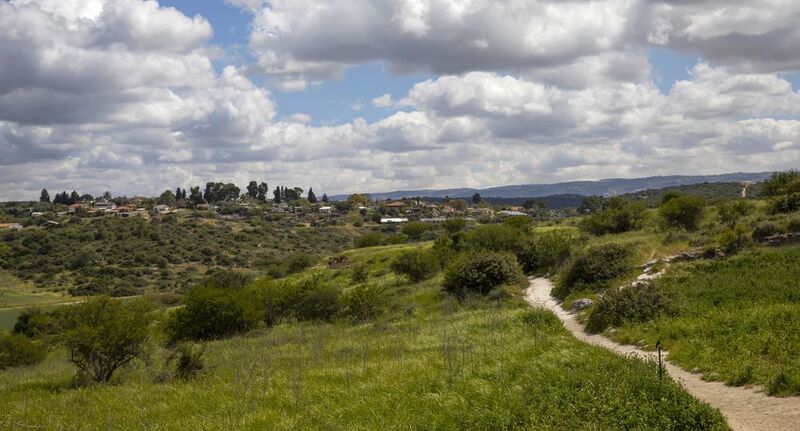 весна в израиле ***** фото превью