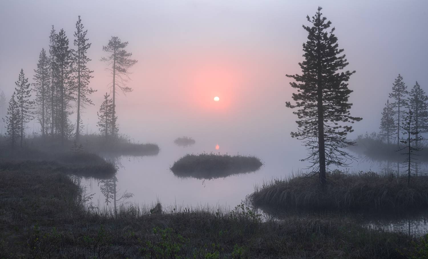 Мурманская область , хибины,болото,рассвет ,пейзаж,туман,озеро, Истомин Виталий