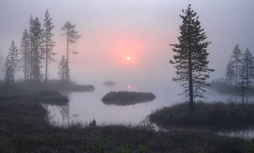 На рассвете 