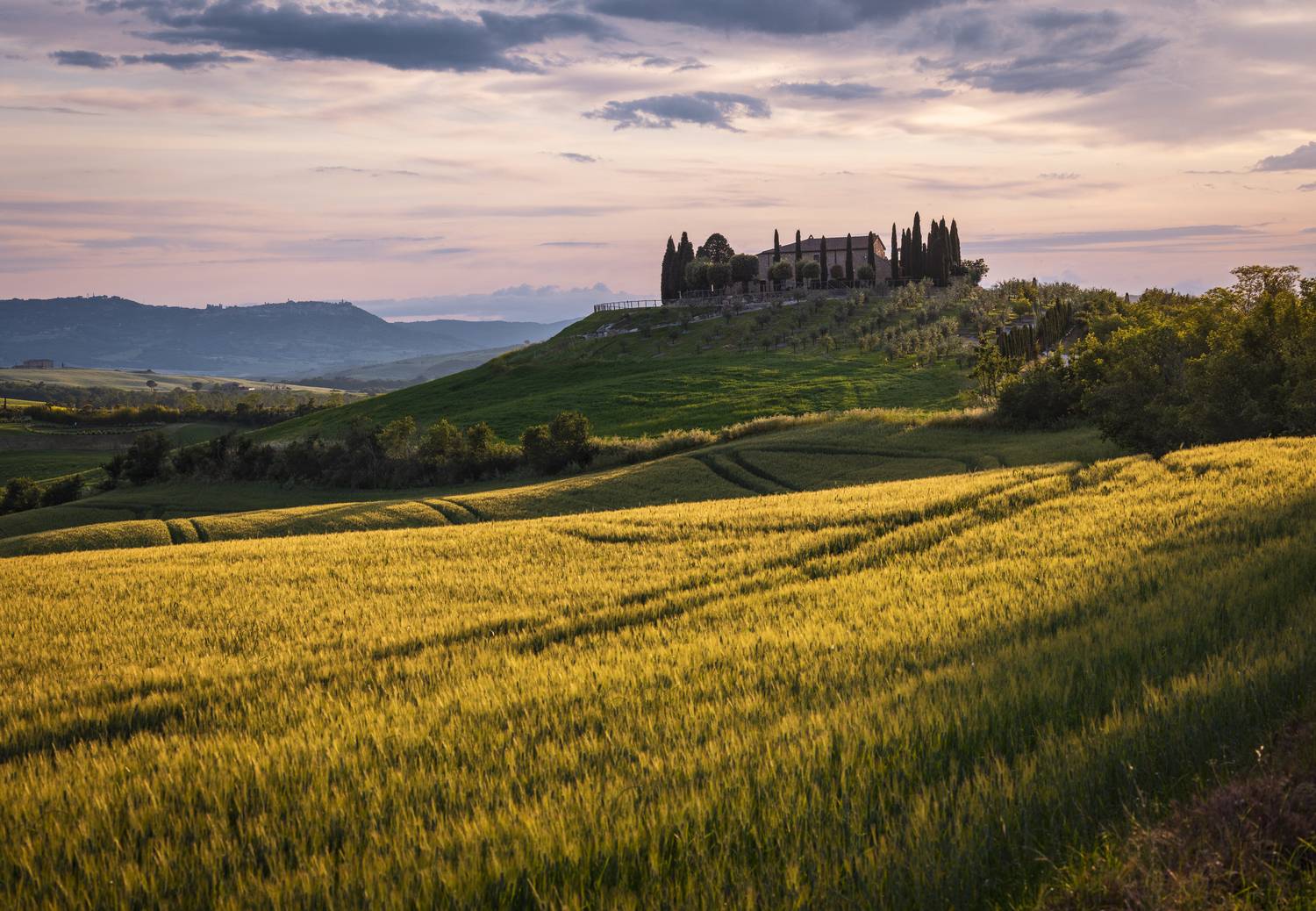 , Алекс Римский