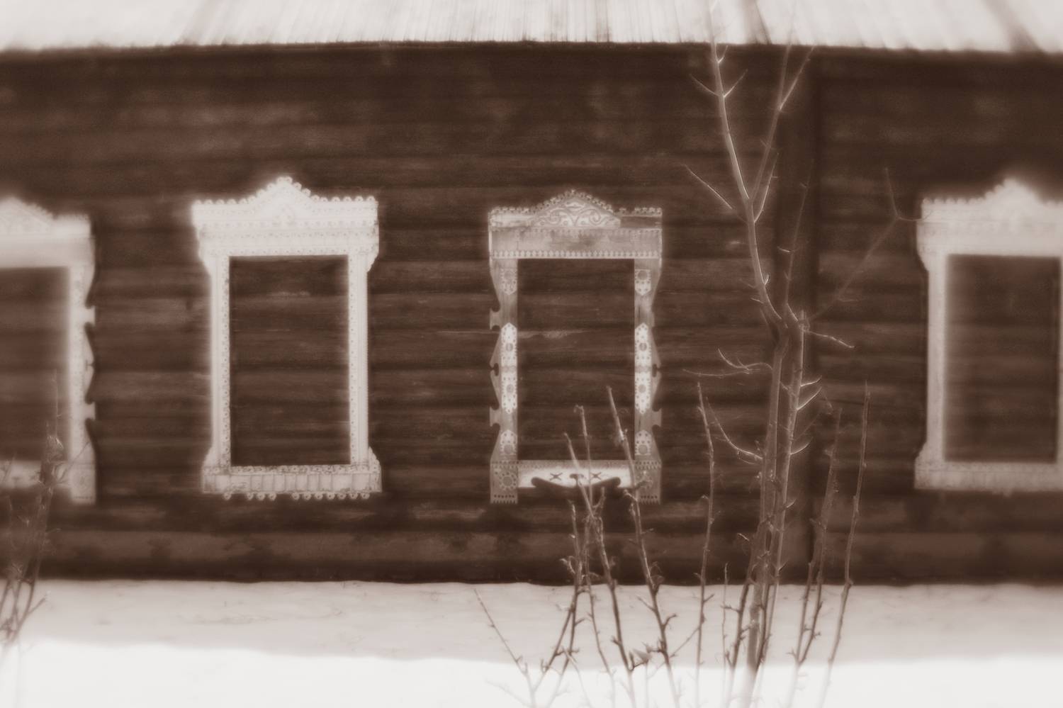 , Таня Смолевская