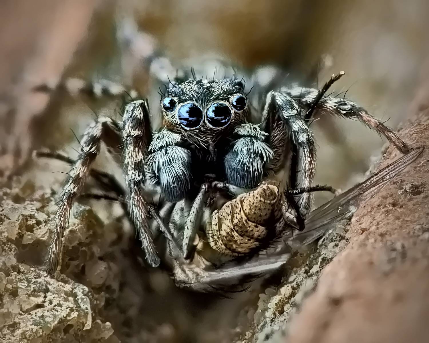 , Кузнецов Дмитрий