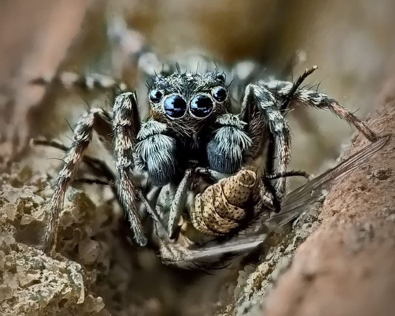 После охоты фото превью