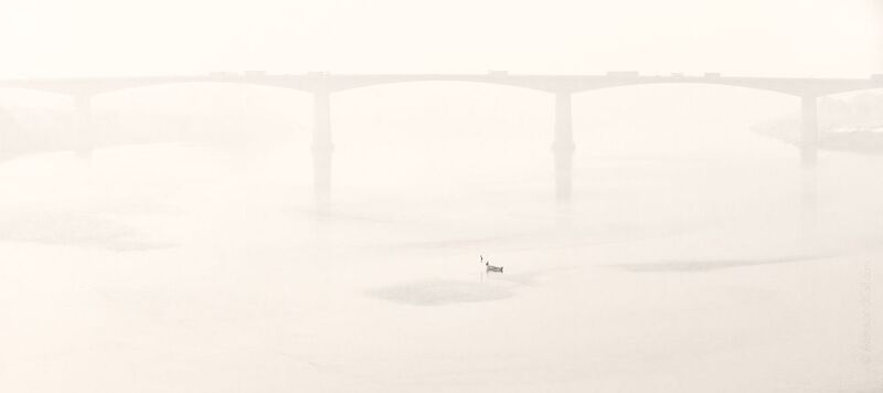 Туман над Гангом фото превью