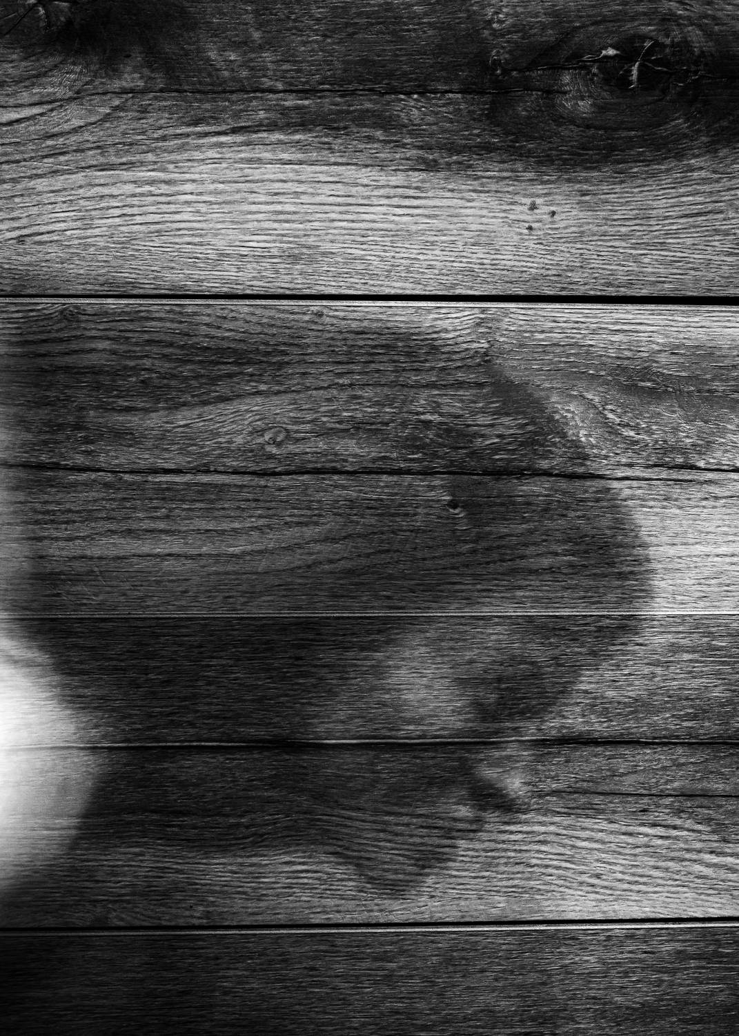 , Елена Литовская