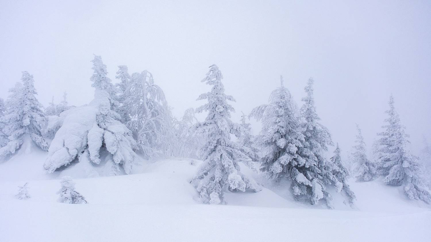 , Бодрягин Виталий
