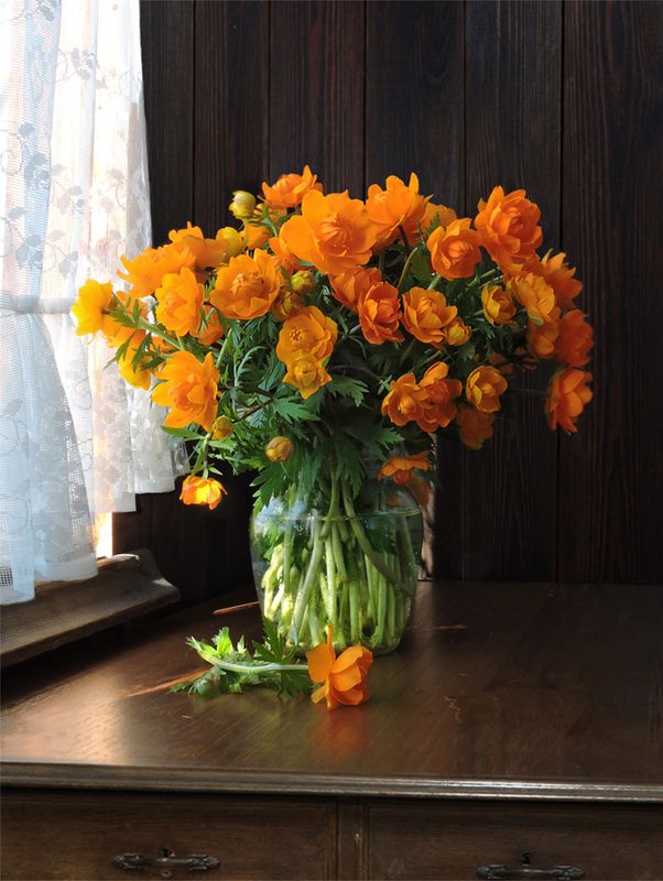 Огоньки фото превью