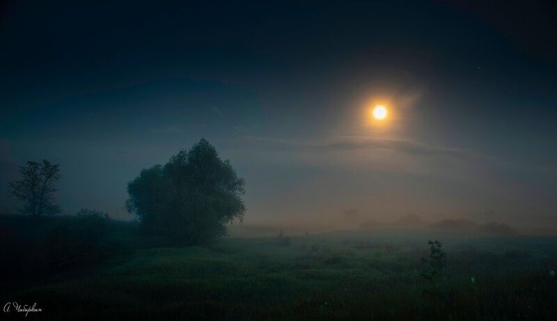 Лето, ночь, туман Тональность летней ночи фото превью