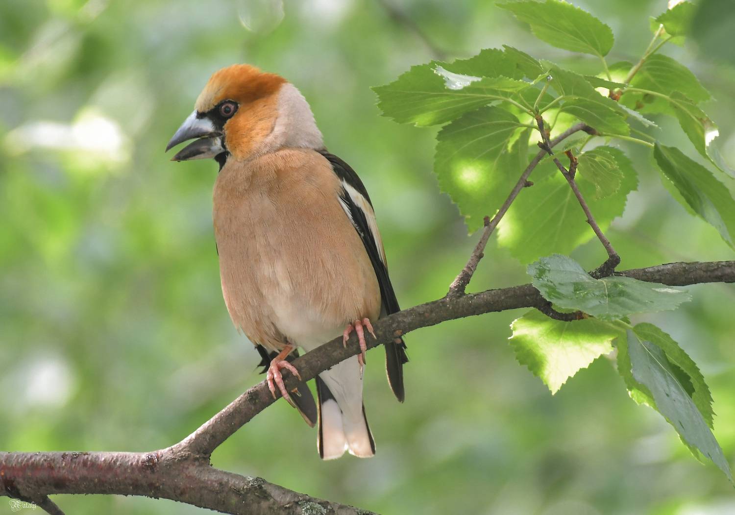 , Наталья Екимова