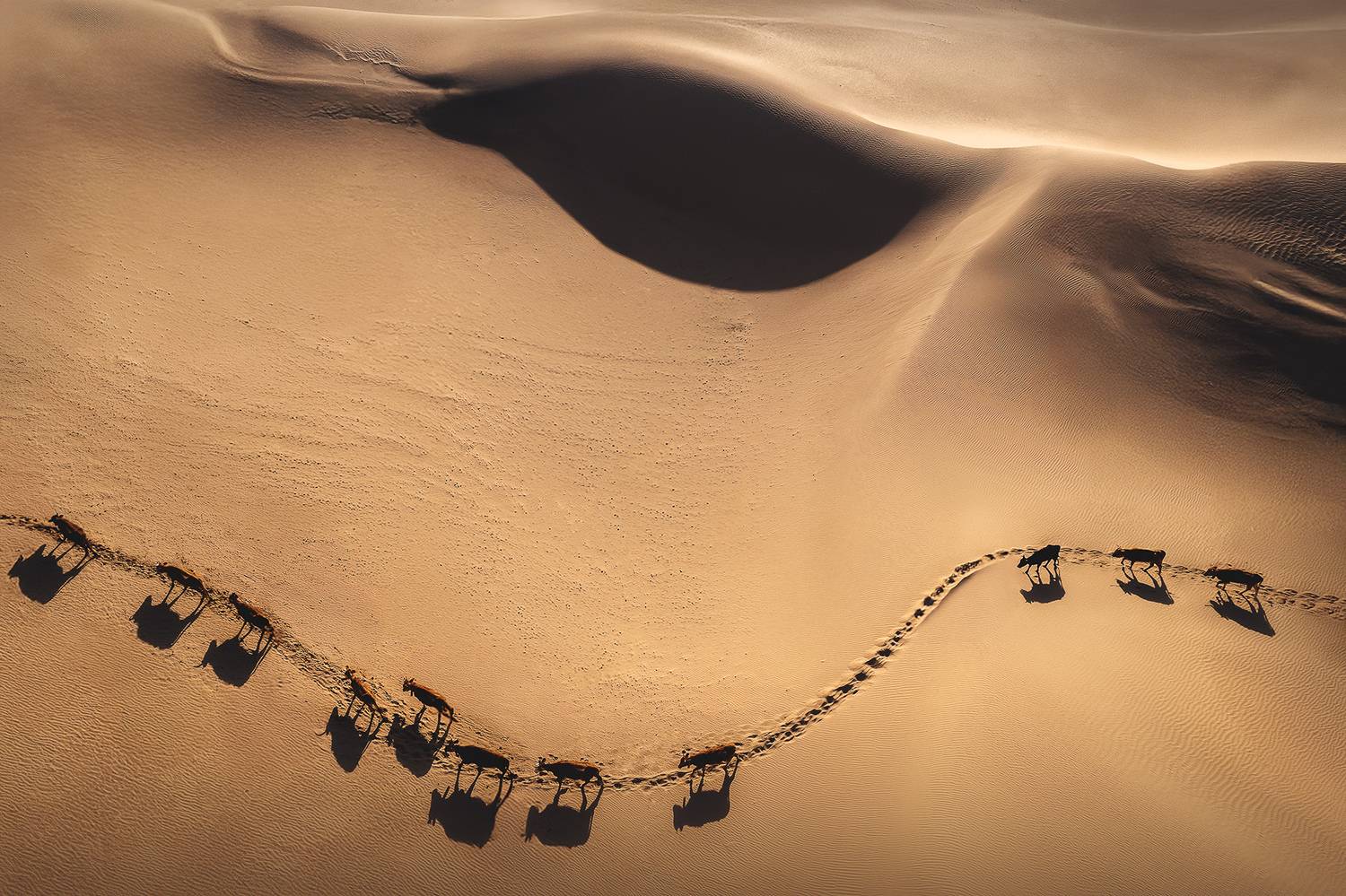 казахстан, мангистау, пустыня, пески туйесу, туйесу, Дмитрий Купрацевич