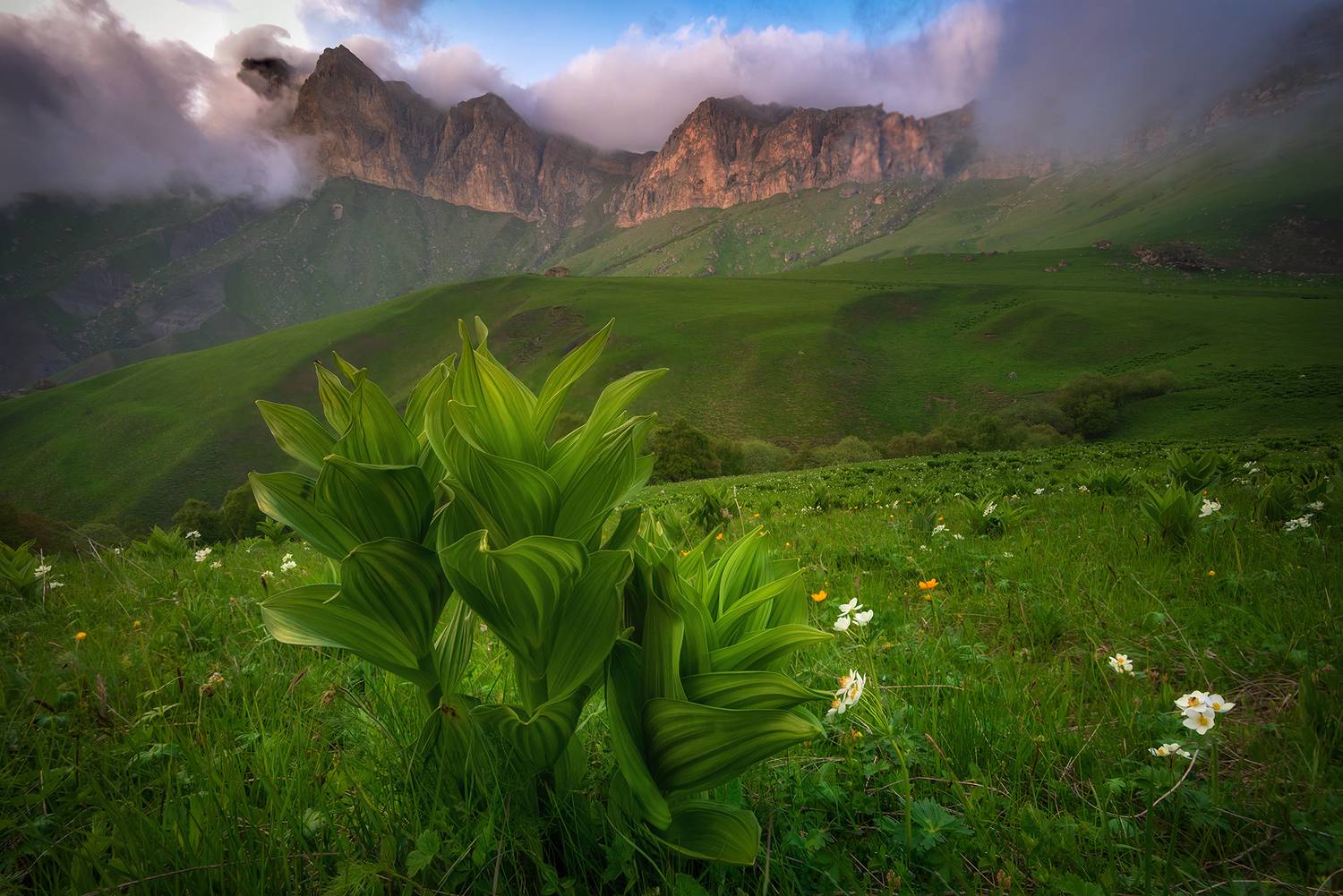 , Колобов Николай