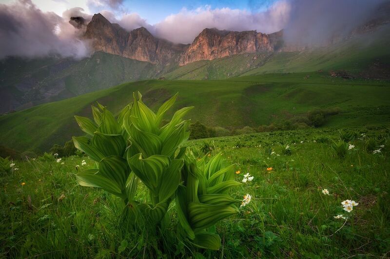 перевал Актопрак. фото превью
