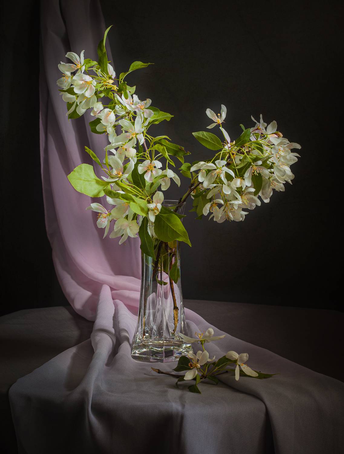 , Хвойнова Елена