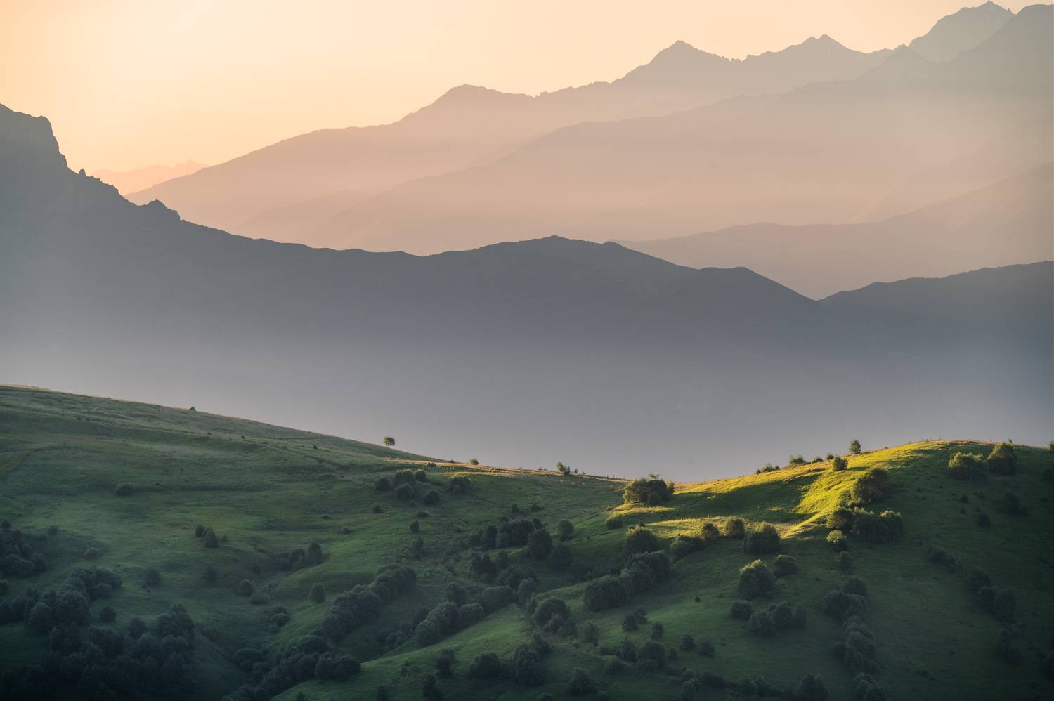 , Алексей Турчин