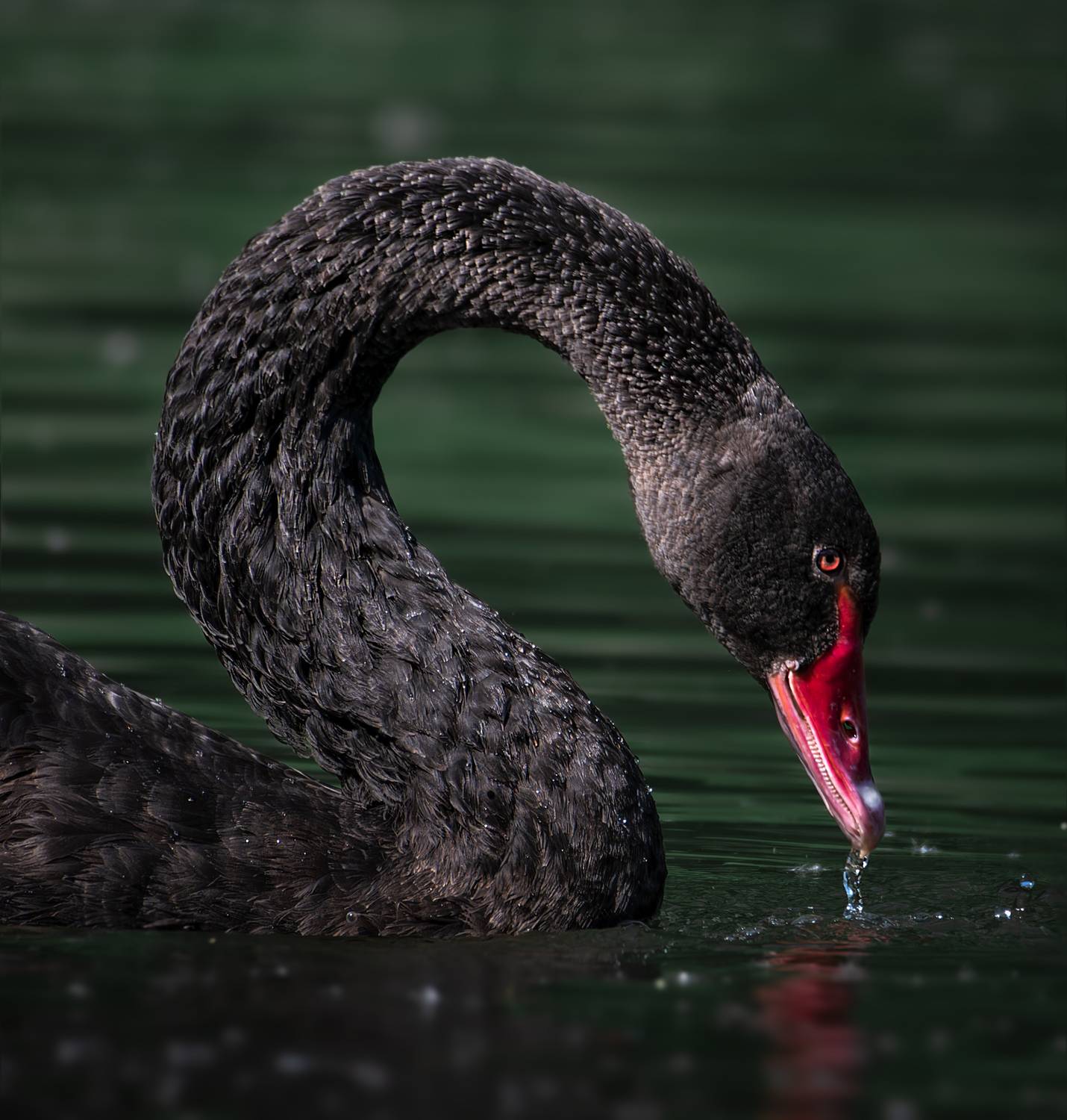 , Фото Александр