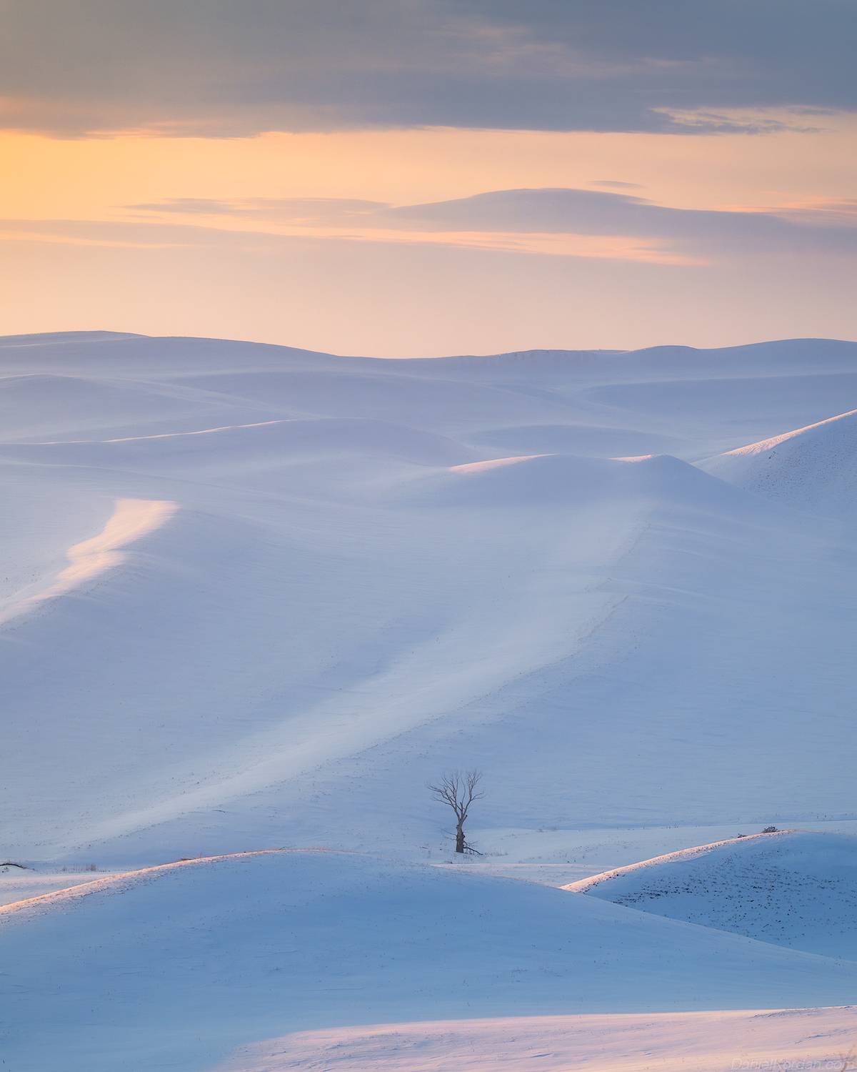 , Даниил Коржонов