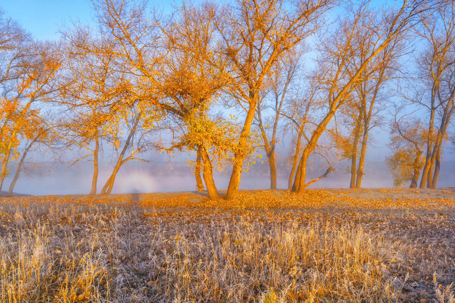 Россия, Курган, пейзаж,рассвет, природа, Лариса Дука