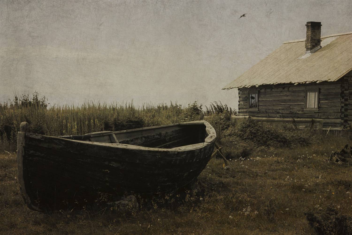 тетрина север белое море, Сагдиева Эльвира