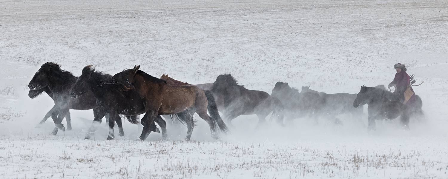 Ancient Mongolian Warrior, ganzorig miimaa