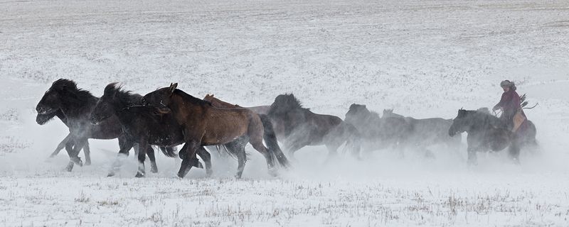 Ancient Mongolian Warrior Ancient Mongolian Warrior фото превью