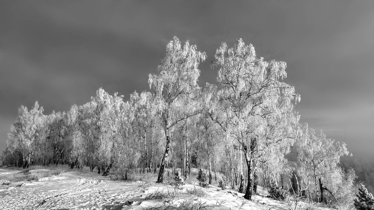 , Ушаков Валерий