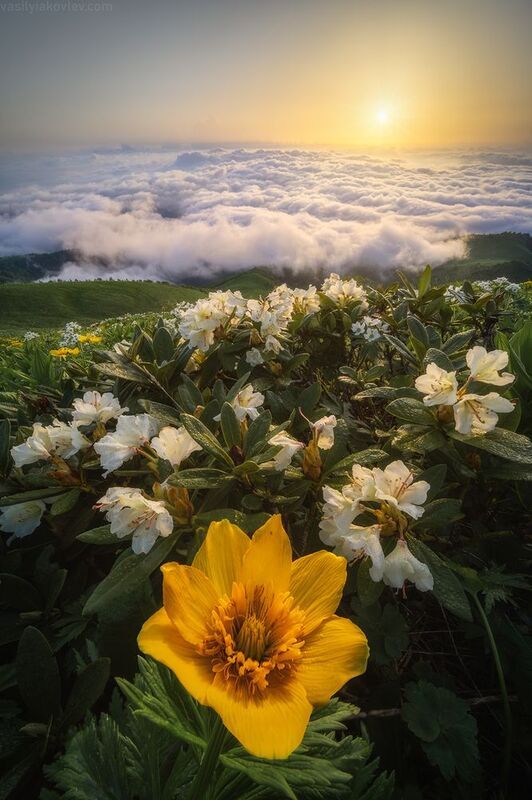 тхач, большой тхач, фототур, яковлевфототур, кавказ, адыгея Большой Тхач фото превью