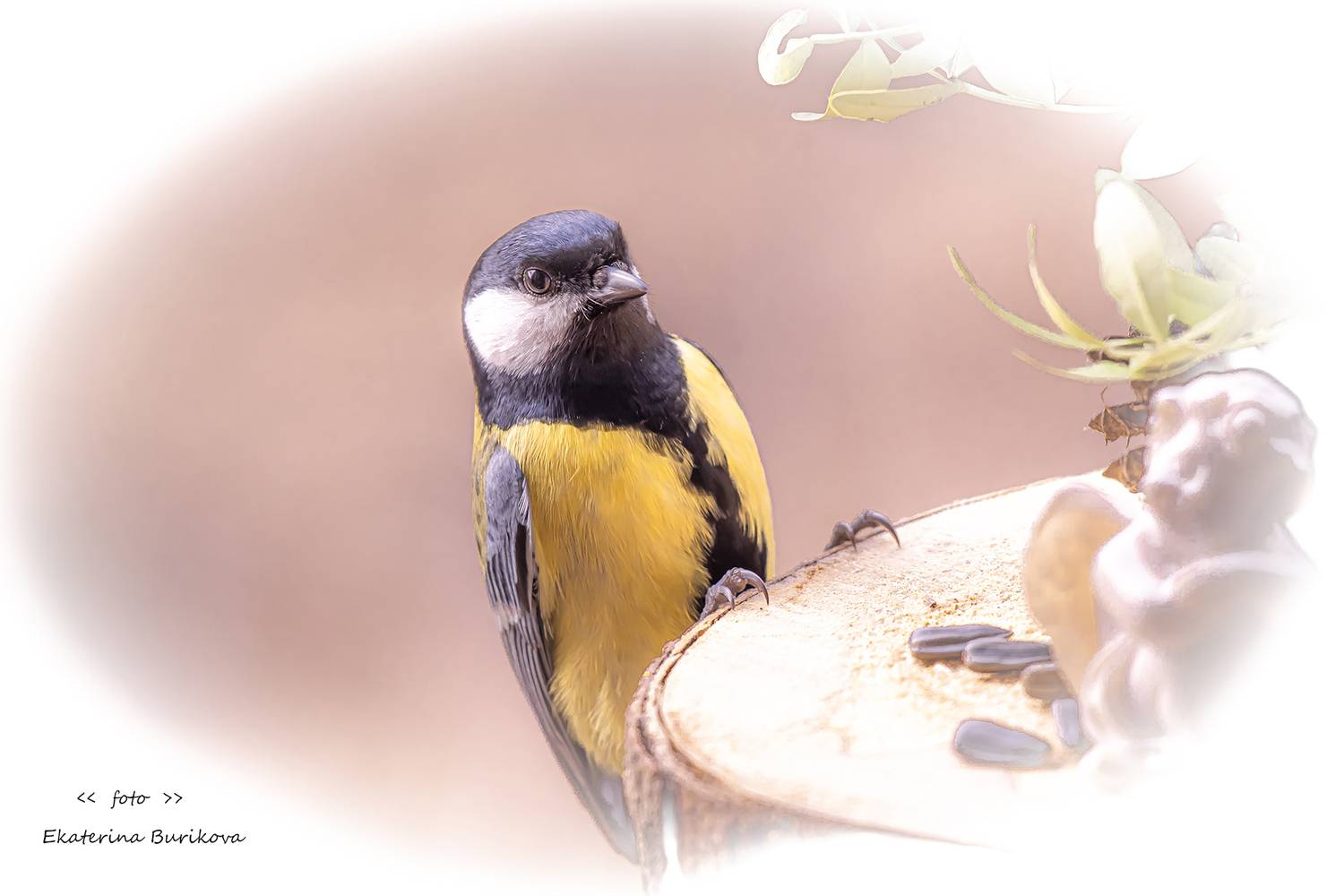 , Бурикова Екатерина