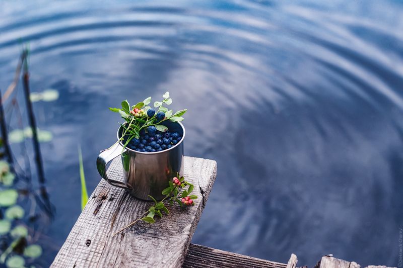 черника, свежесть, озеро, натюрморт, тишина, лето, кружка, коростышев, украина, фотографчорный, сашачорный, \