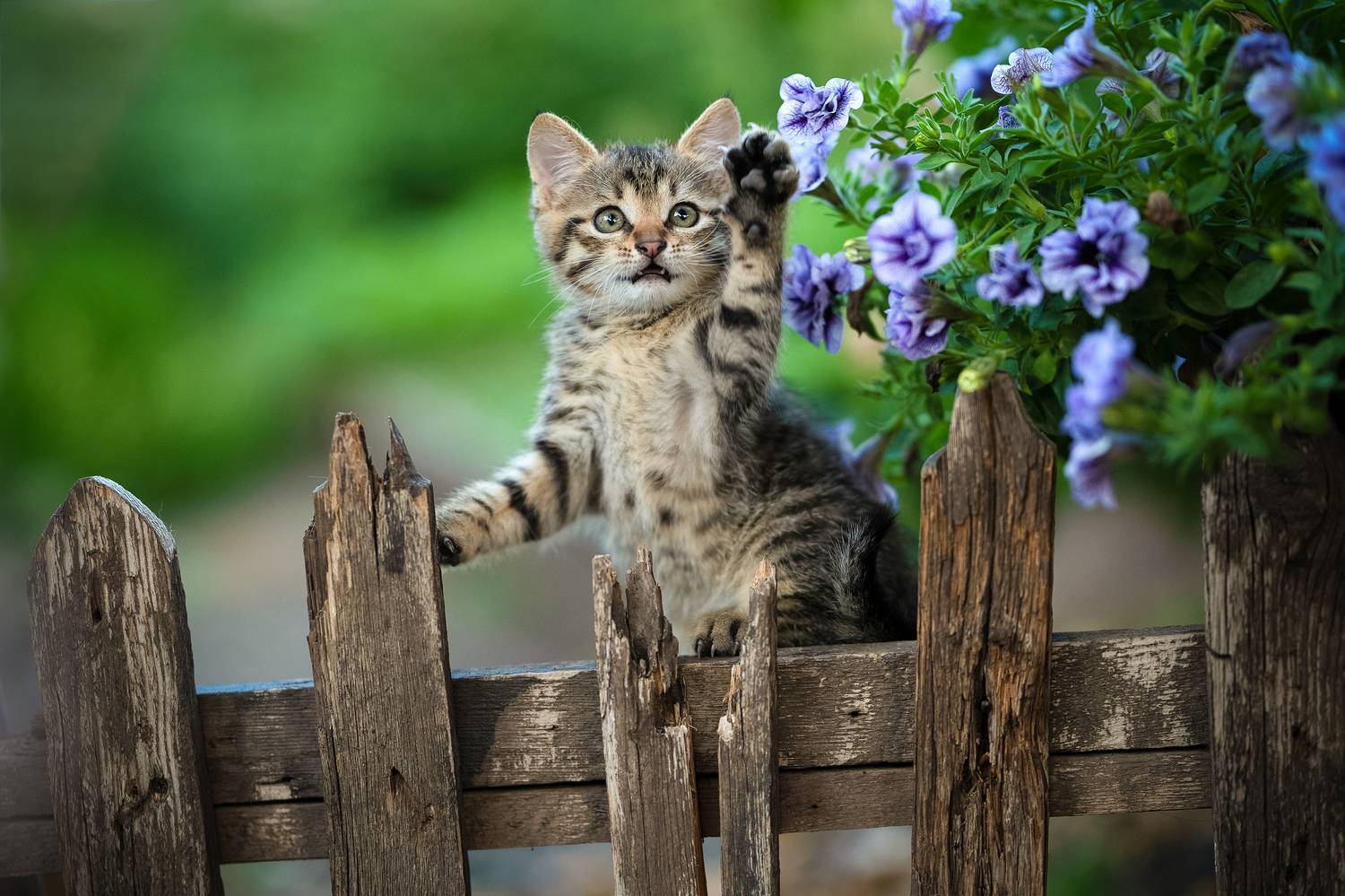 , Коротун Юрий