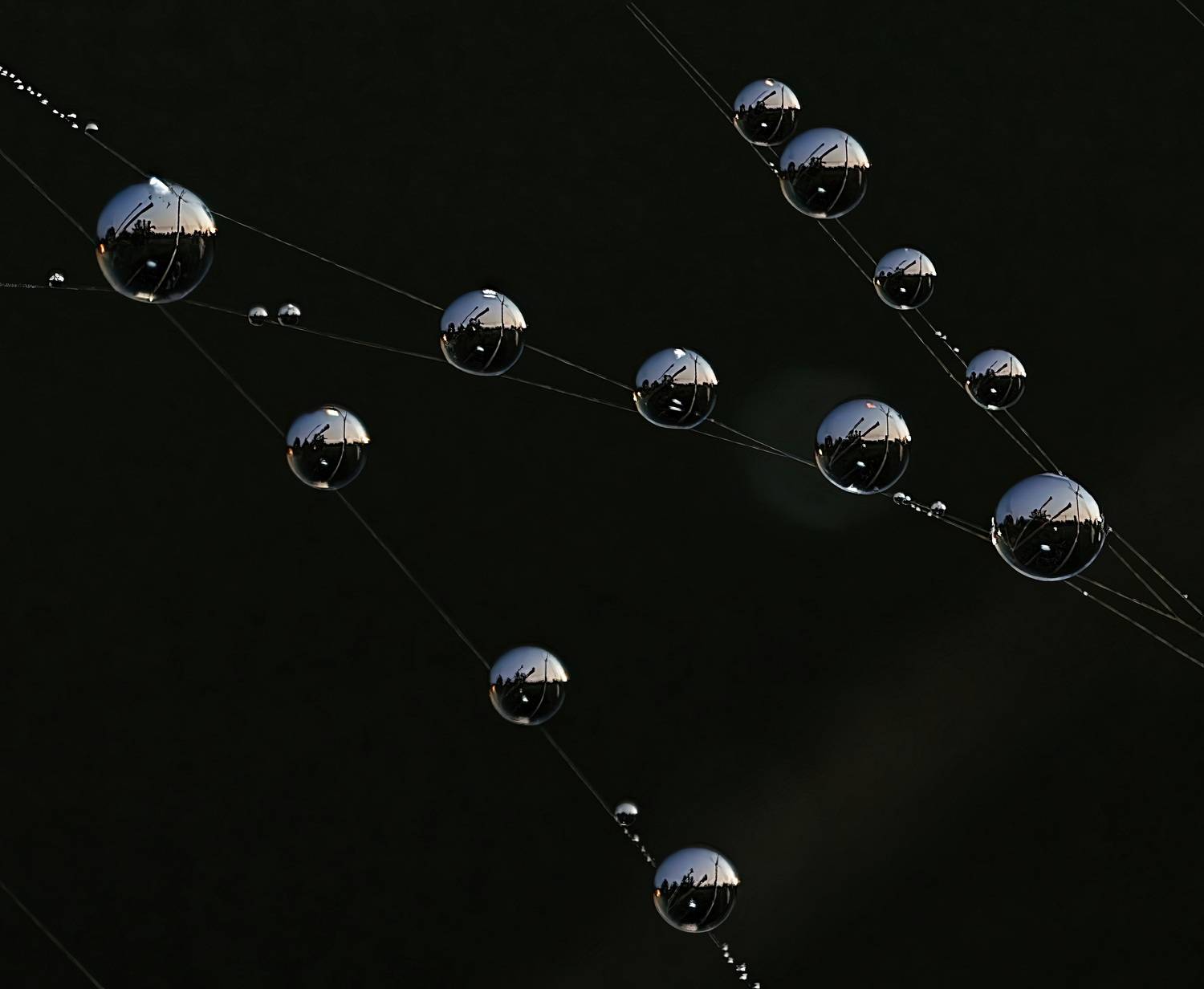 , Кузнецов Дмитрий