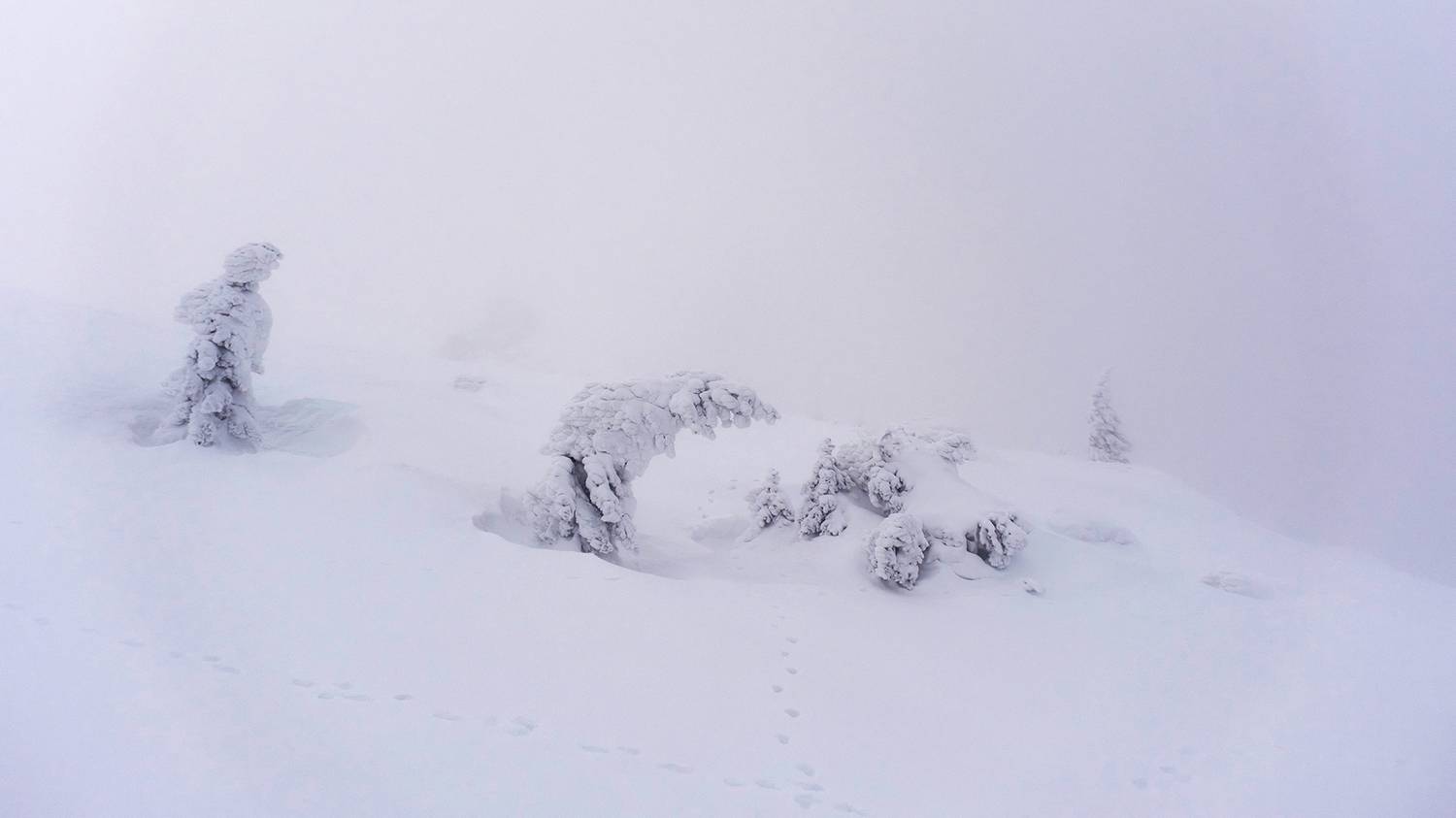 , Бодрягин Виталий