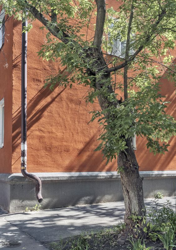 Утро. фото превью