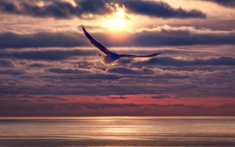 Bering Sea sunset фото превью