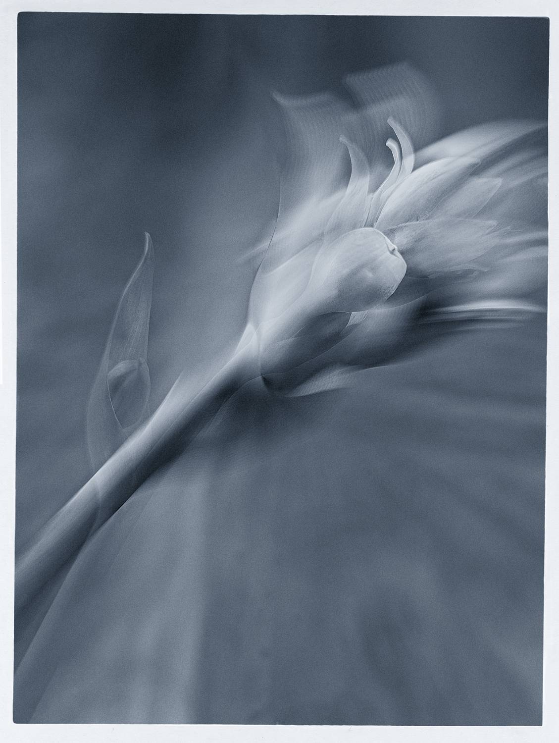 , Михаил Кабанов