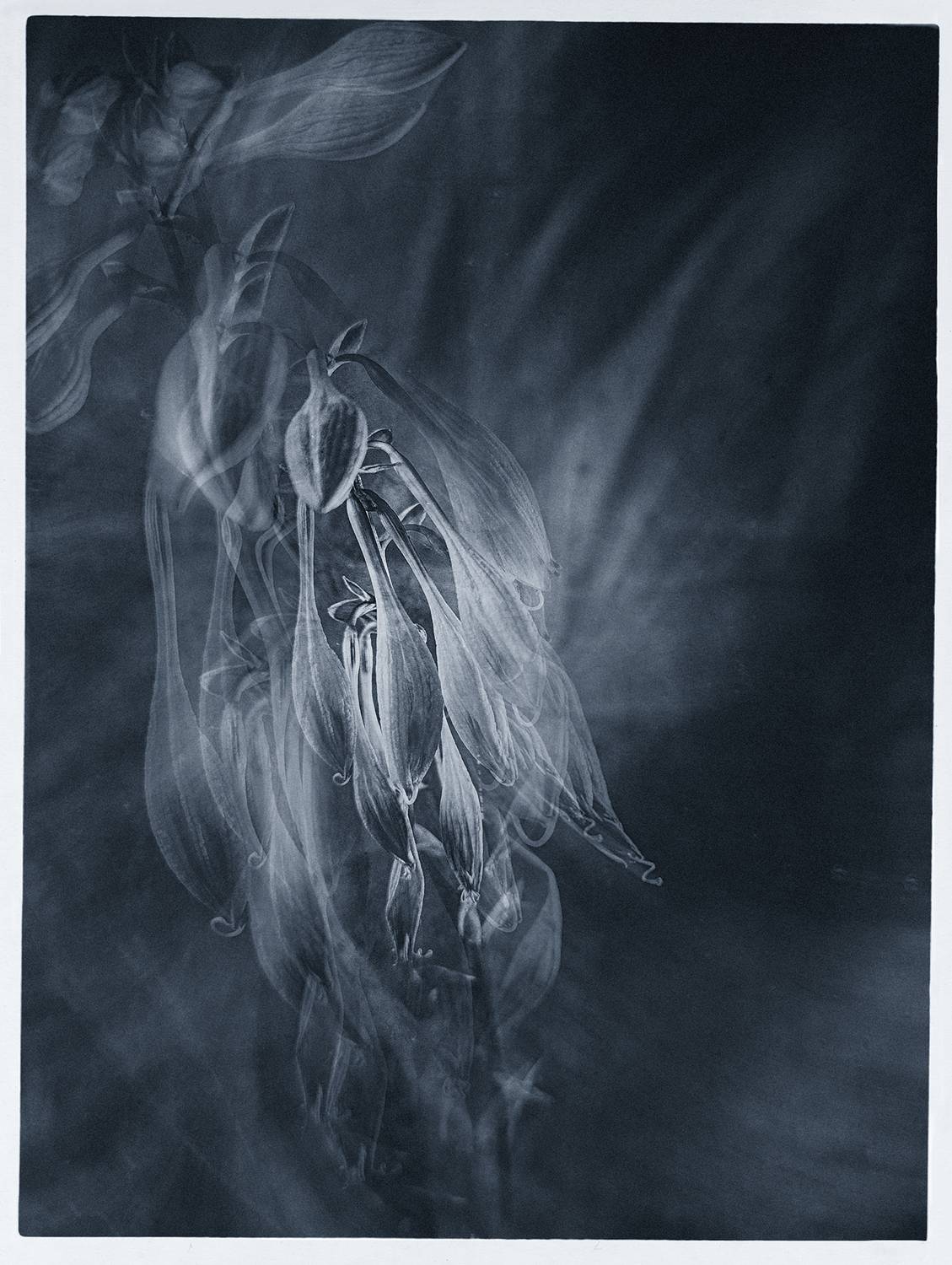 , Михаил Кабанов