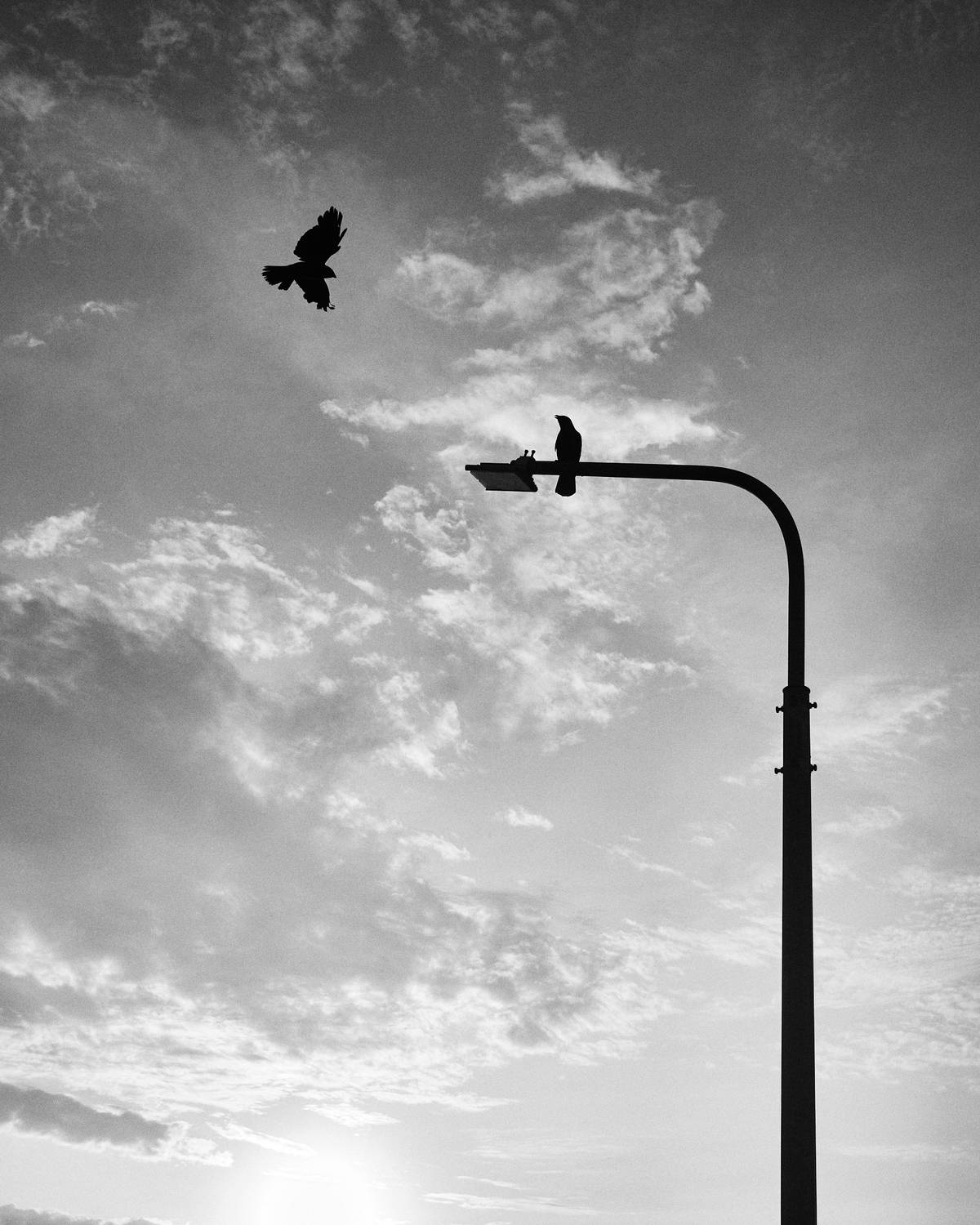 , Дыбов Дмитрий