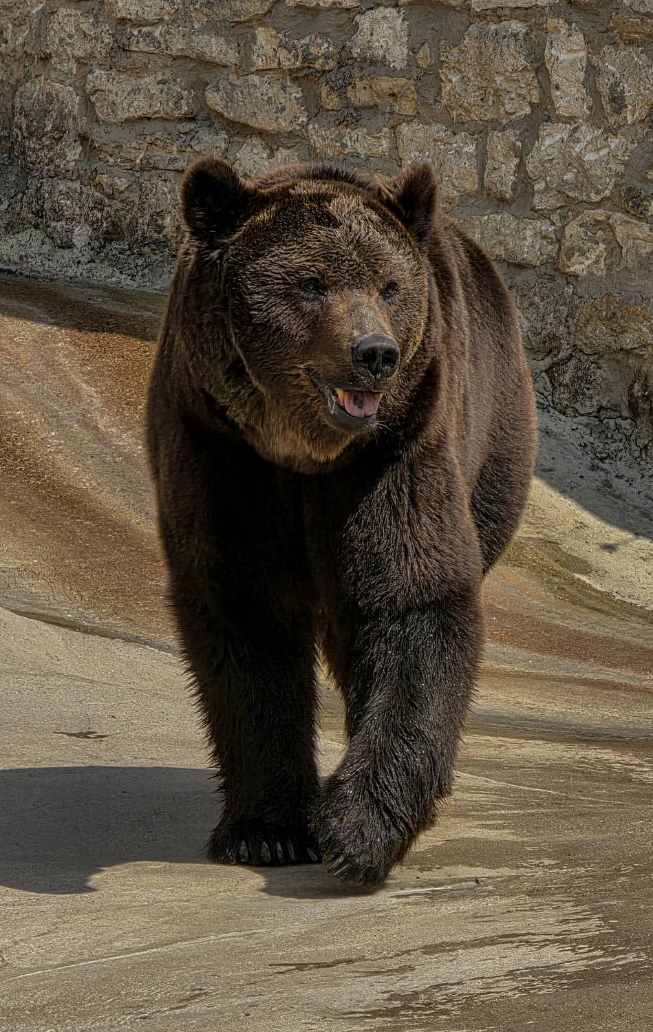 , Сушкевич Светлана