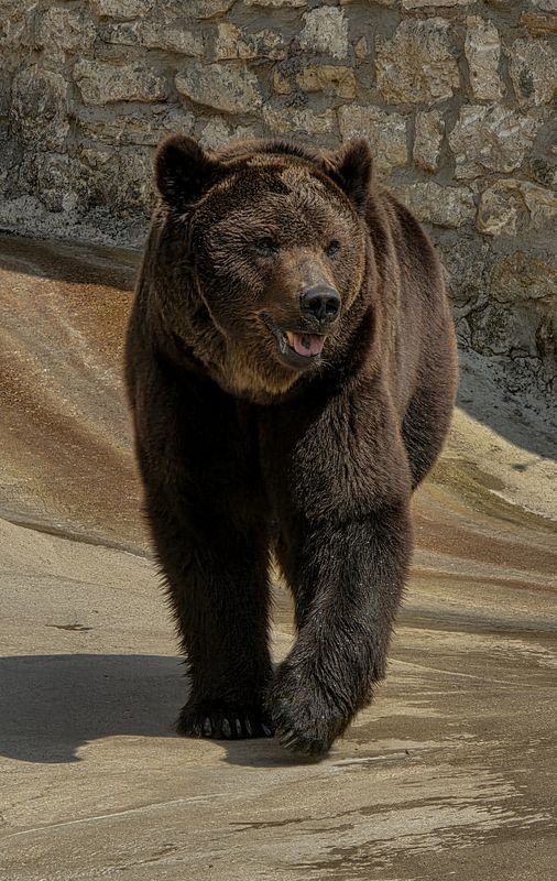 ****** фото превью