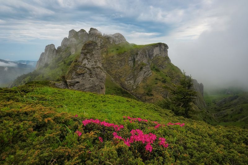 2023 фото превью