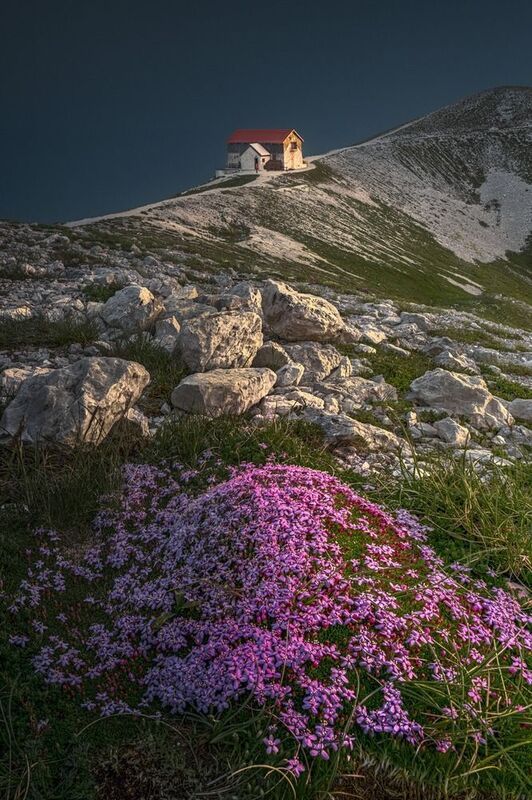 Duca degli Abruzzi фото превью