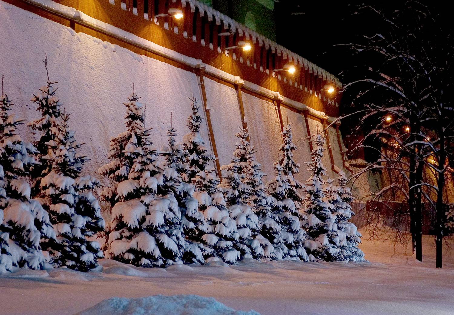 , Андрей Петросян