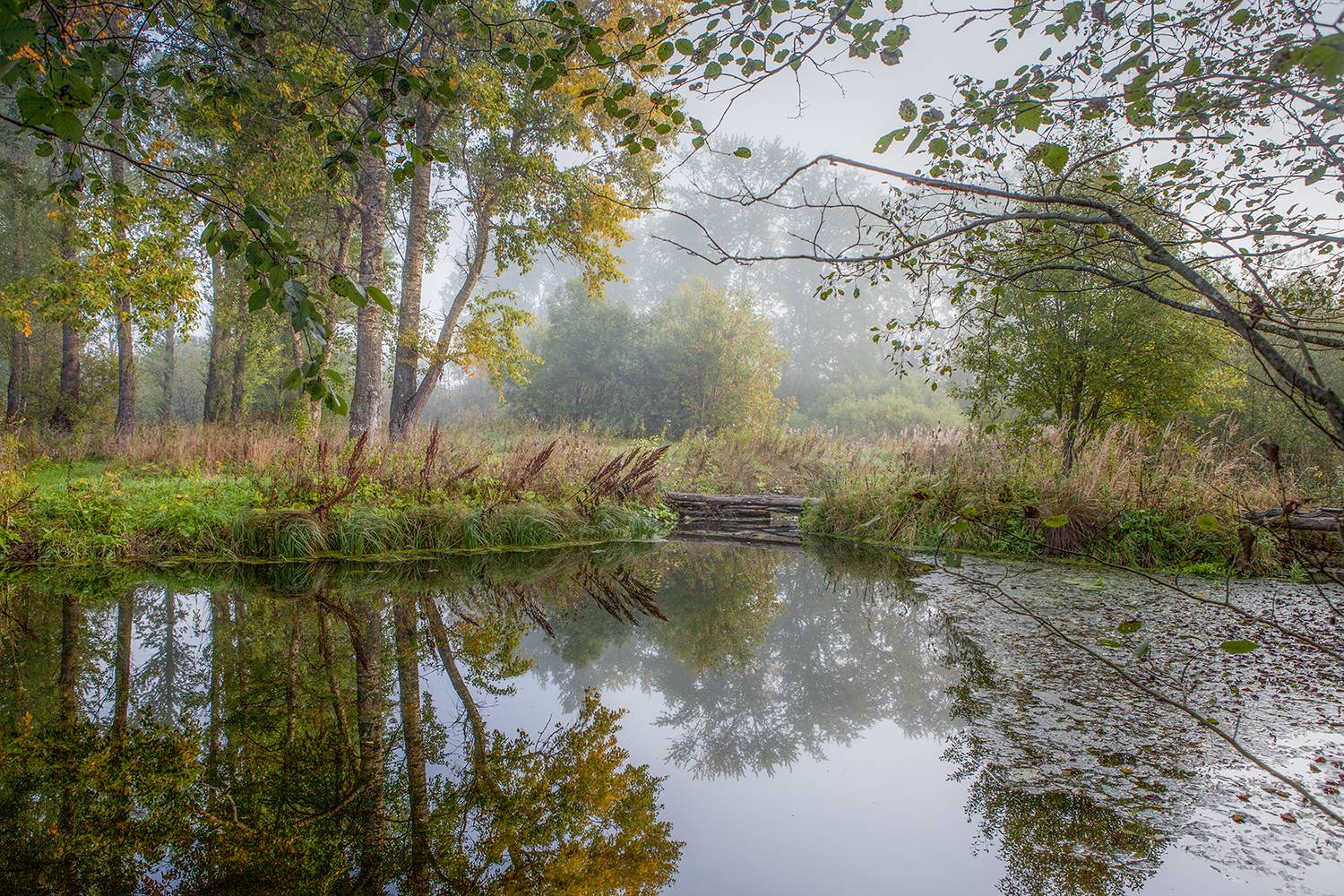 ,  александр михайлов