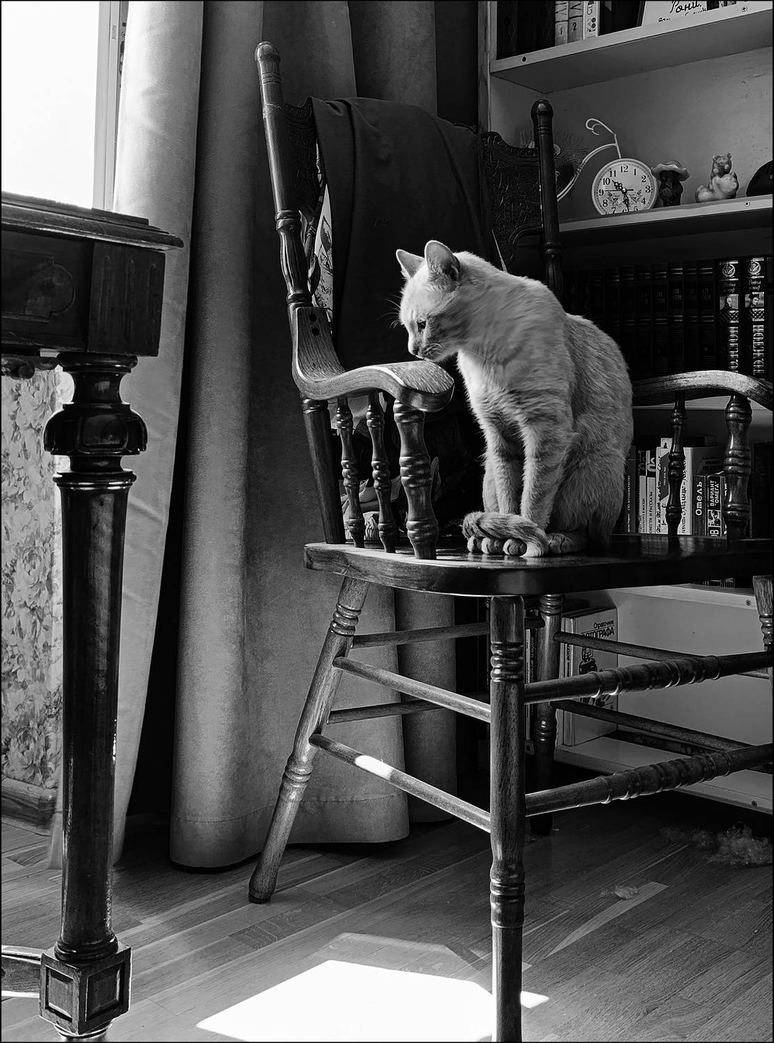 , Герасимова Алёна