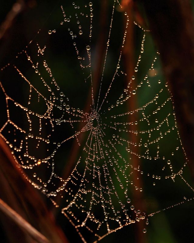 Шапочка Джульетты фото превью