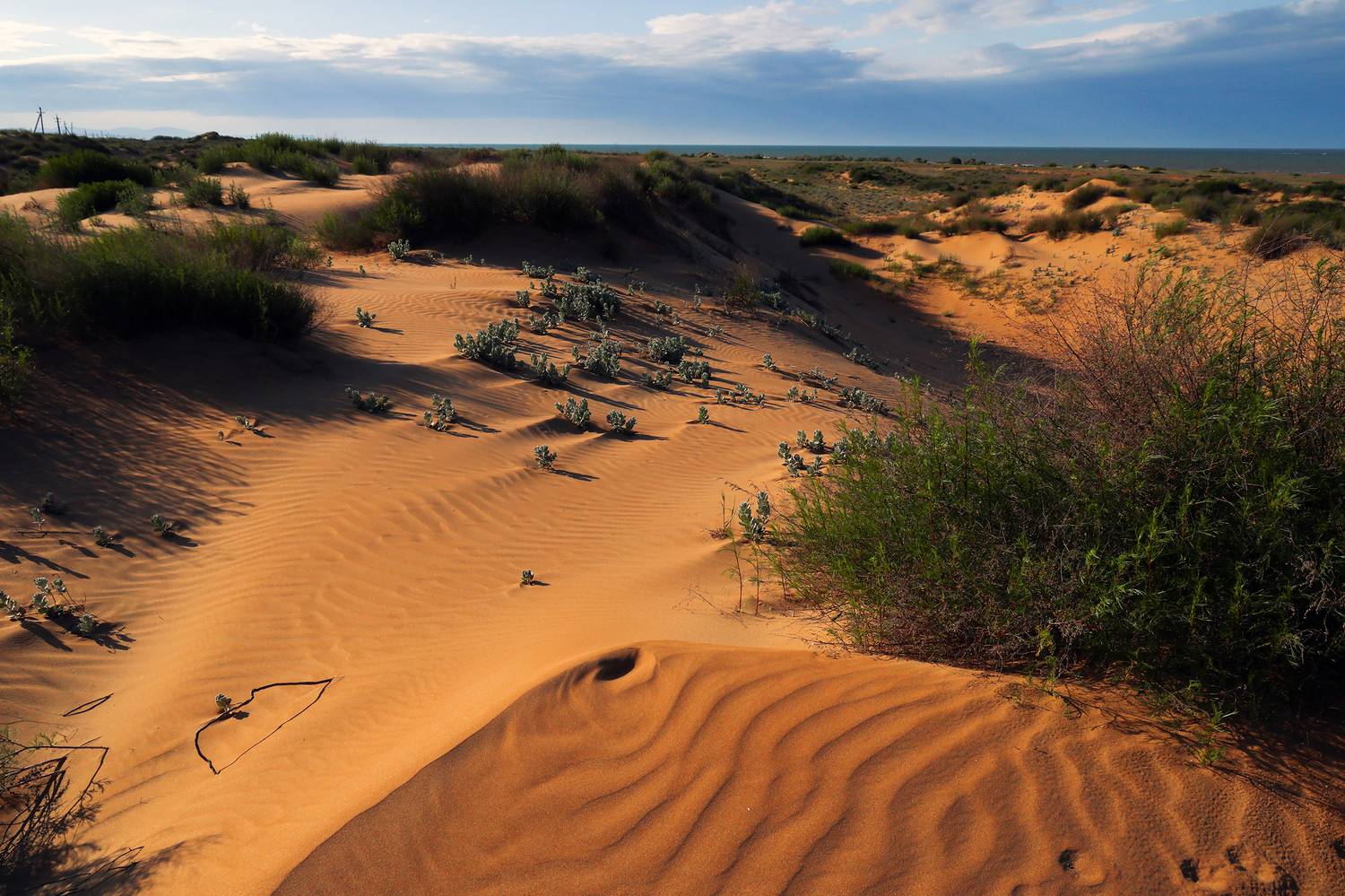 каспий,бархан,берег,море,, Magov Marat