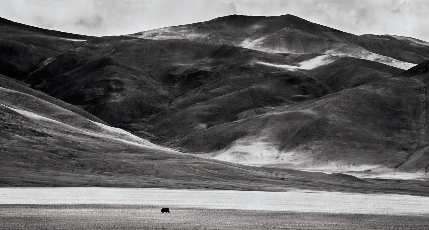 , Гиль Александр