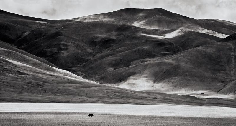 Яки большие фото превью