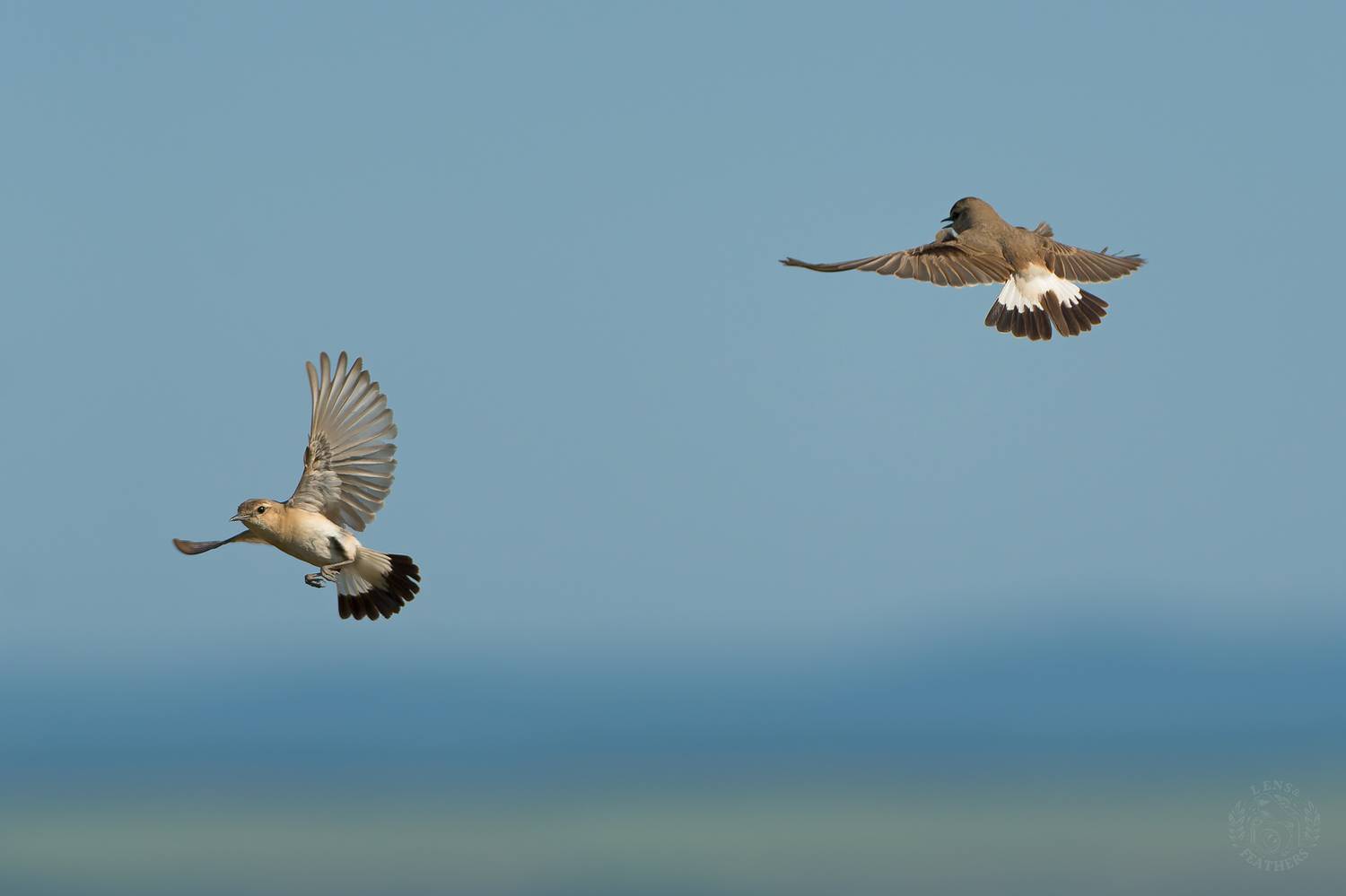 , Евгени Стефанов